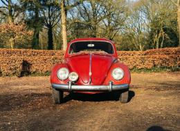 Volkswagen Coccinelle