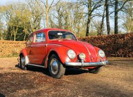 Volkswagen Coccinelle
