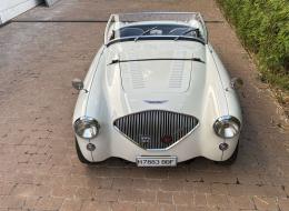 Austin Healey 100 M