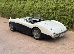 Austin Healey 100 M