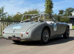 Austin Healey 100 / M BN1 FIA
