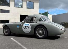 Austin Healey 100 / M BN1 FIA