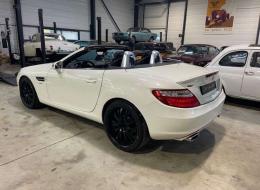 Mercedes-Benz SLK 250 BI-Turbo DIESEL