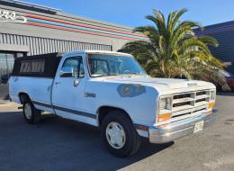 Dodge Pick-up D-100