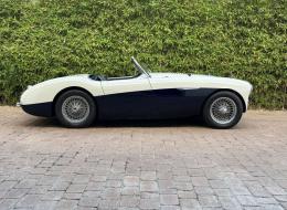Austin Healey 100 M