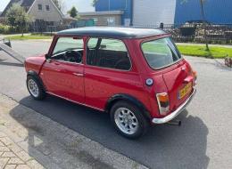 Mini 1000 Austin