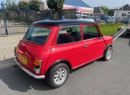 Mini 1000 Austin
