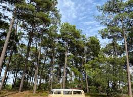 Volkswagen Combi T2B