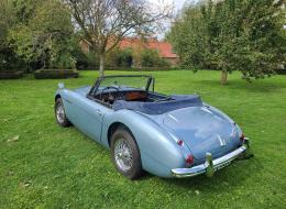 Austin Healey 3000 MKIII (BJ8)