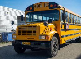 Bus  International 3800 School Bus