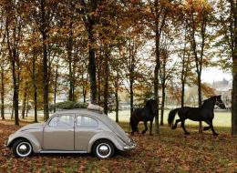 Volkswagen Coccinelle 1200