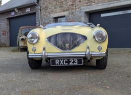 Austin Healey 100 BN2