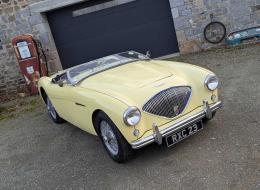 Austin Healey 100 BN2