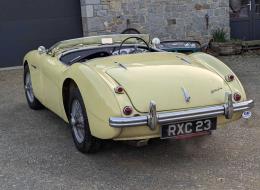 Austin Healey 100 BN2