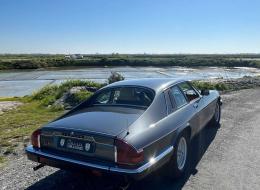 Jaguar XJS  3.6L
