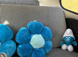 Volkswagen Coccinelle