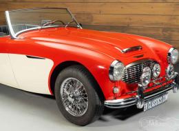 Austin Healey 100 / 6