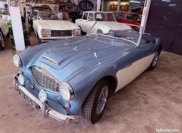 Austin Healey 100 - 6 3.0 BN6
