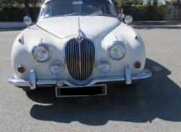 Jaguar 240