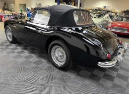 Austin Healey 3000 Mark III BJ8