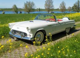 Ford Thunderbird Cabriolet
