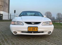 Ford Mustang SN95 Coupé
