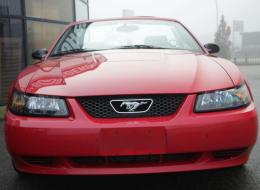 Ford Mustang V6 Cabriolet