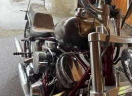 Moto Harley Davidson FXSTS Softail Springer