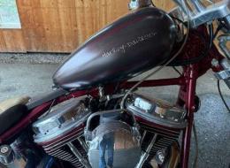 Moto Harley Davidson FXSTS Softail Springer