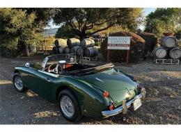 Austin Healey 3000 Mark III BJ8