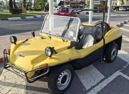Buggy 