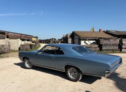 Pontiac GTO Export
