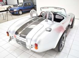 AC Cobra Replica Pigeon racing 5.0L