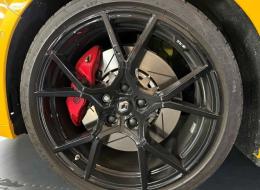 Renault Mégane IV (2) 1.8 300 RS ULTIME
