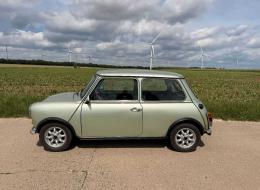 Mini 1000 Austin