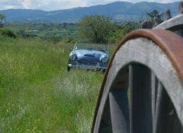 Austin Healey 100 BN4
