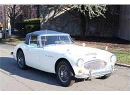 Austin Healey 3000 Mk III BJ8