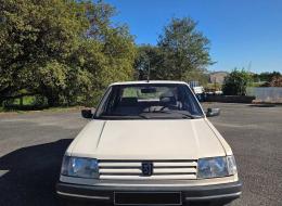Peugeot 309 1.6 GR