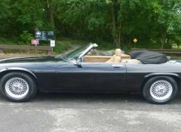 Jaguar XJS XJS V12