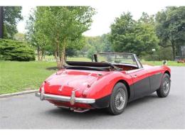 Austin Healey 3000 Mk III BJ8