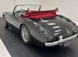Austin Healey 100 - 4 BN1 Roadster