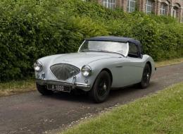 Austin Healey 100 / 4 BN1 - KIT 100M