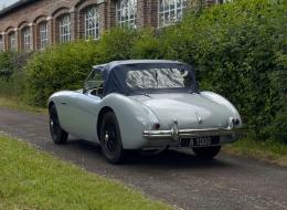 Austin Healey 100 / 4 BN1 - KIT 100M
