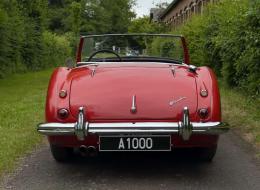 Austin Healey 100 / 6 BN6