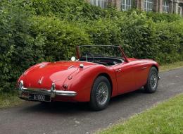 Austin Healey 100 / 6 BN6