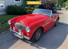 Austin Healey 100 Roadster de 1954