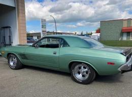 Dodge Challenger Rally