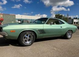 Dodge Challenger Rally