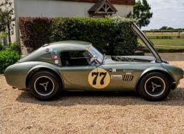 Shelby Cobra FIA 289