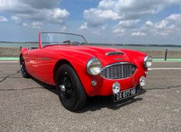 Austin Healey 100 BN4 100/6 de 1958